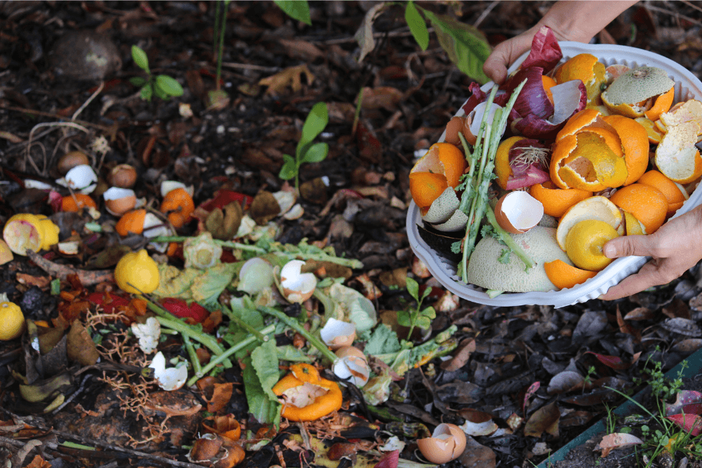 Gardeners are encouraged to compost household green waste to dig the nutrients back into the earth